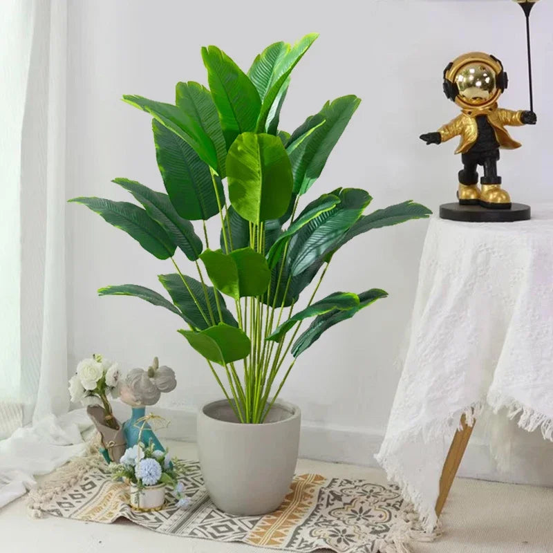 Planta Elena Tropical