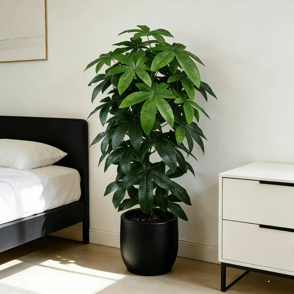 Planta Amélia Artificial Pachira Aquatica