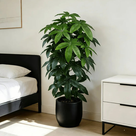 Planta Amélia Artificial Pachira Aquatica