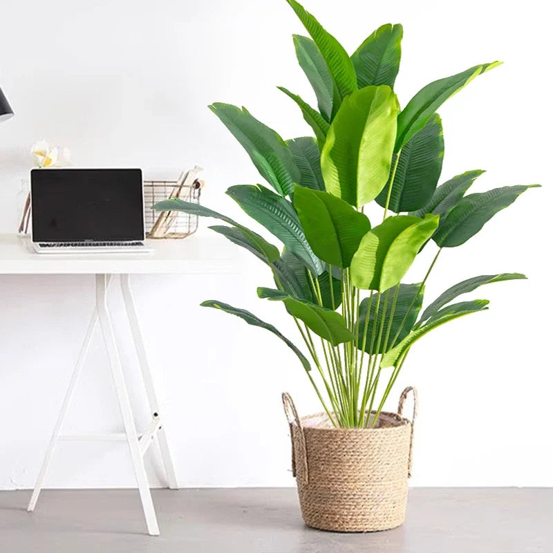 Planta Elena Tropical