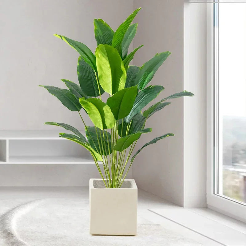 Planta Elena Tropical