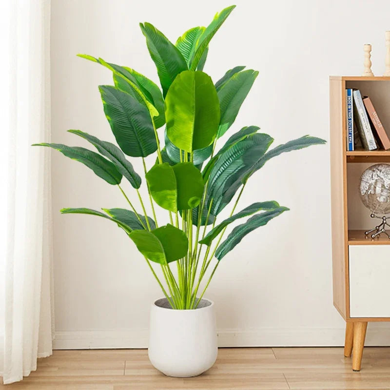 Planta Elena Tropical