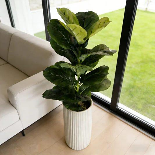 Planta Leonor Artificial Ficus Lyrata