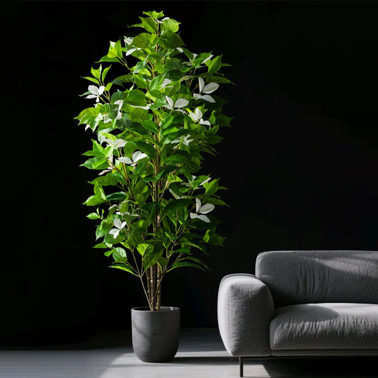 Planta Évora Artificial
