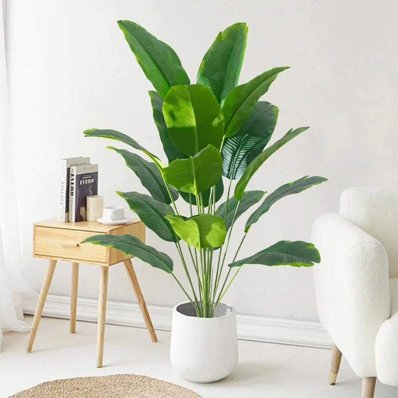 Planta Elena Tropical